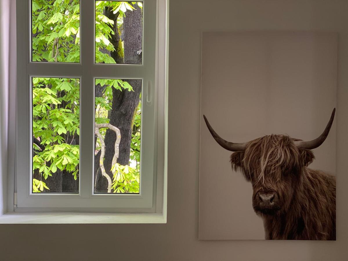 Green Corner Of Bovec - Apartment Bovec Exterior foto